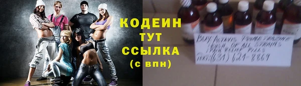 дурь Ладушкин