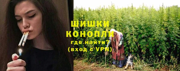 дурь Ладушкин