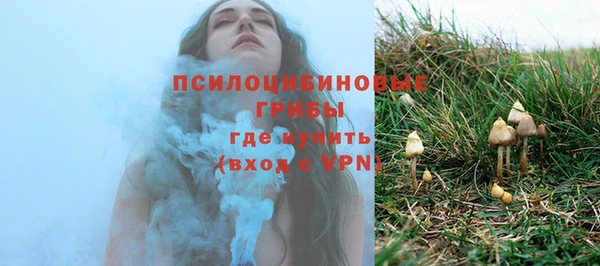 дурь Ладушкин