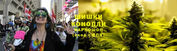 дурь Ладушкин