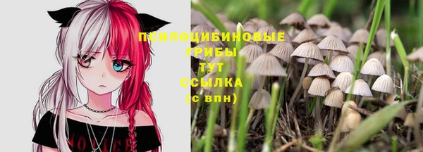 дурь Ладушкин