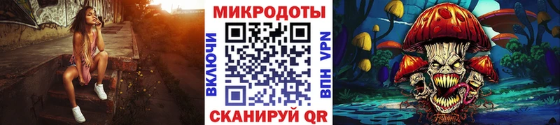 купить наркотики сайты  Щучье  MEGA ССЫЛКА  Псилоцибиновые грибы Psilocybe 